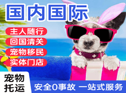 韶关航空运输国际宠物托运 【国